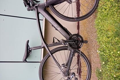 Trek DOMANE Plus zu verkaufen