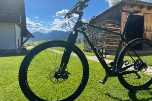 Simplon Racoblade 29 SL Carbon zu verkaufen