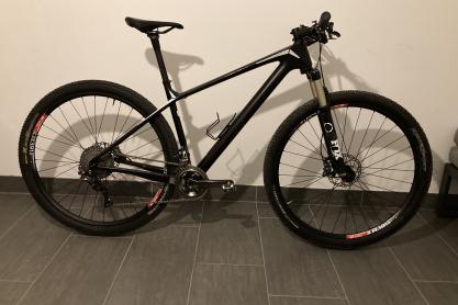 Focus Raven Max zu verkaufen