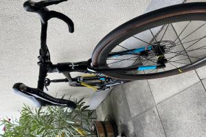 Wilier Garda  zu verkaufen