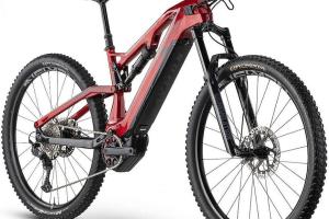 Raymon AirRay 10.0 Light E-Bike zu verkaufen