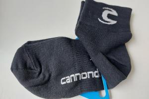 Cannondale Radsocken zu verkaufen