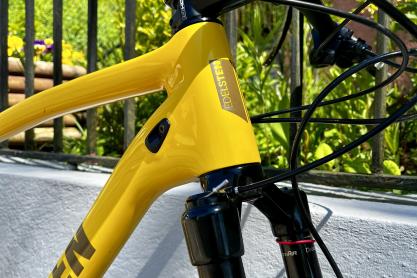 Edelsten Mountainbike HT1 zu verkaufen