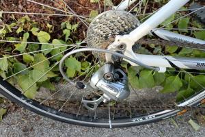 Fuji Newest 1.0 zu verkaufen