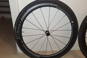  Roval Rapid Cl II zu verkaufen