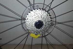  Roval Rapid Cl II zu verkaufen