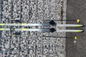 Fischer LL Ski zu verkaufen