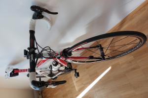 Colnago EPS carbon zu verkaufen