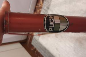Puch Mistral Ultima Bergmaschine zu verkaufen