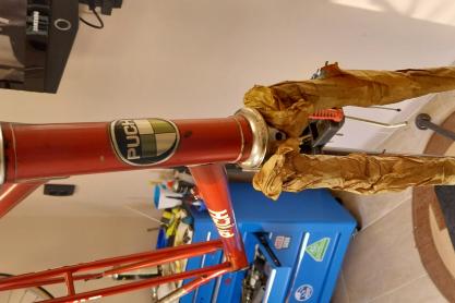 Puch Mistral Ultima Bergmaschine zu verkaufen