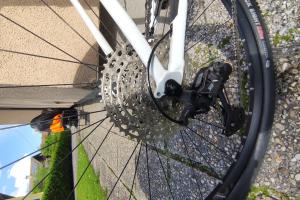  E-MTB Hardtail zu verkaufen