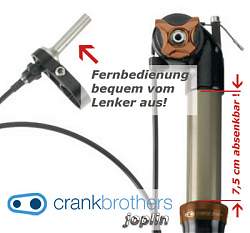 Detailansicht