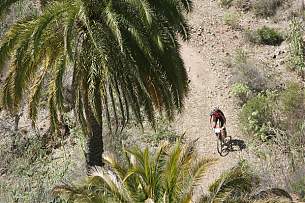 Canary Open MTB 2008
