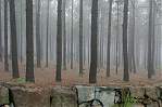 und eigenem Wald