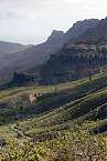 Canary Islands Cycling