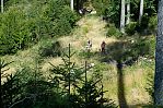Granitbeisser 2008
