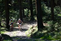 Granitbeisser 2008