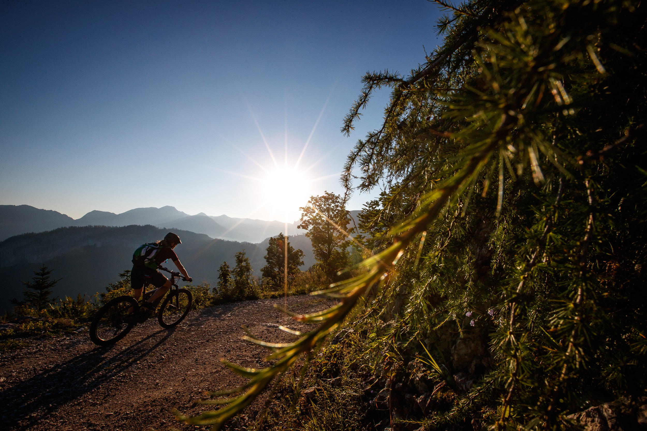 Umfrage: MTB Traunsee - Fotos, Test & News