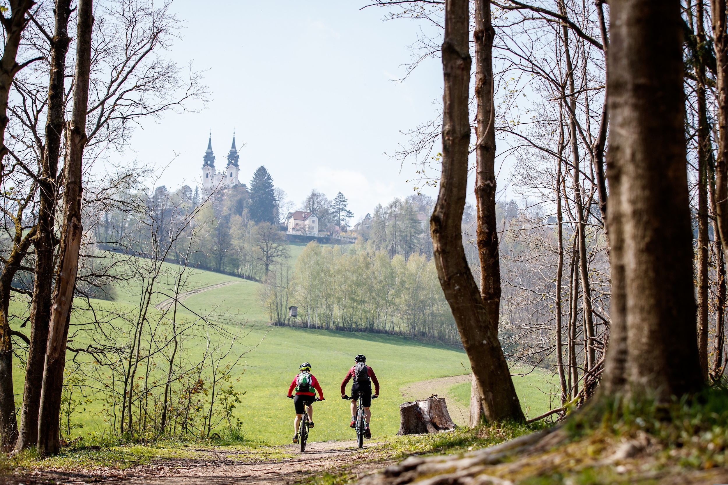 Guided MTB Tour in Linz