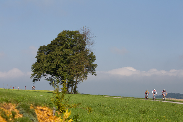 Detailansicht