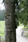 Grimming MTB Marathon