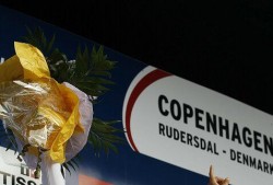 Detailansicht