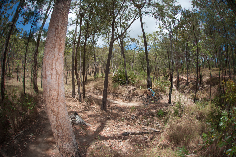 Deeper into the bush - die neuen Atherton MTB Trails sind hochbeliebt.