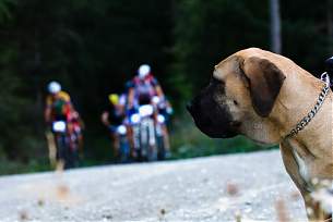 Stubai Bikemarathon