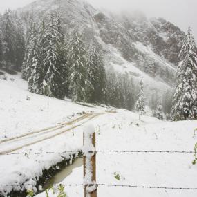 2009 zwang ein heftiger Wintereinbruch mit 20 cm Neuschnee am höchsten Punkt, der Roßalm, die Organisatoren zum Rennabbruch für A und B.