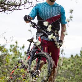 Pearl Izumi Bikewear 2017