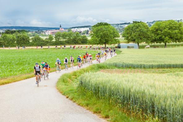 Fünf Jahre "In Velo Veritas"