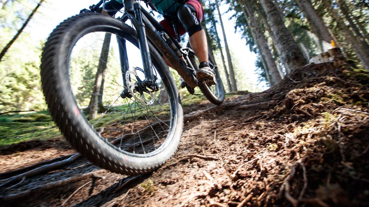 Trek Fuel EX 9.8 27.5+