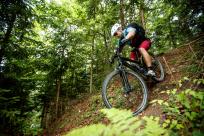 Trek Fuel EX 9.8 27.5+