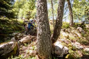 Trek Fuel EX 9.8 27.5+