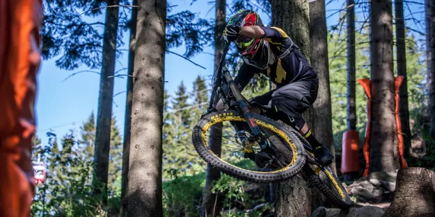 Mavic Deemax DH