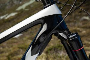 Trek Remedy