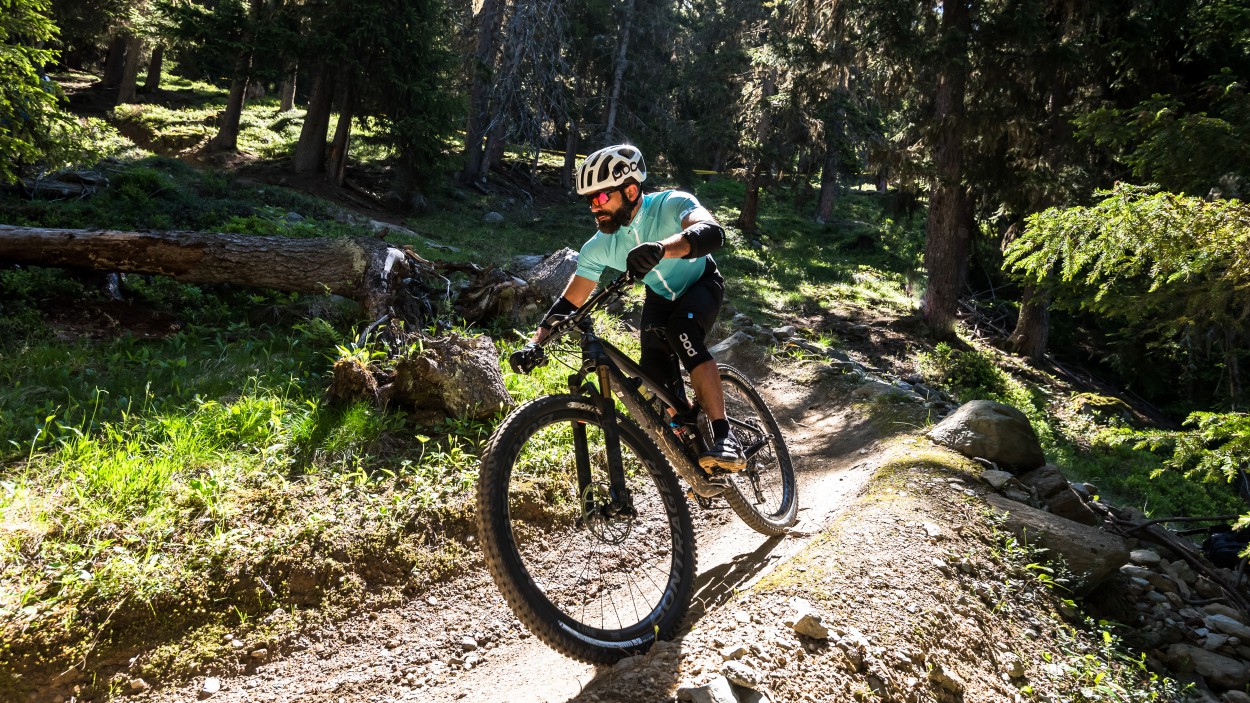 Trek RE:aktiv mit Thru Shaft
