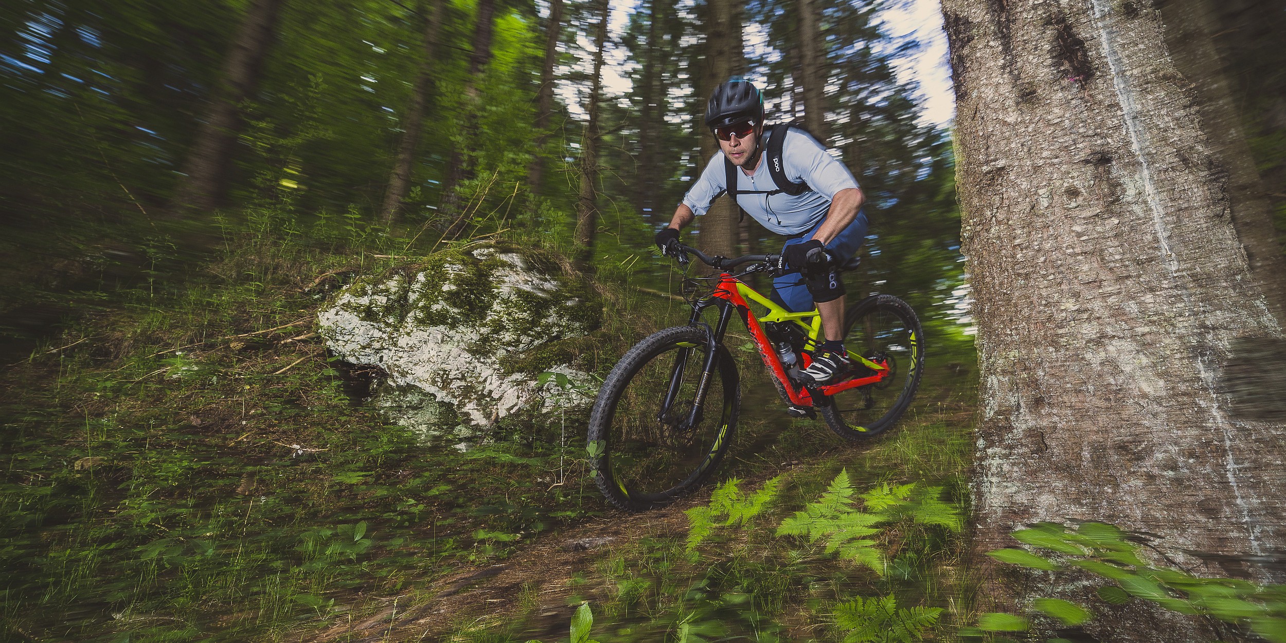 Showroom: Specialized Enduro 29