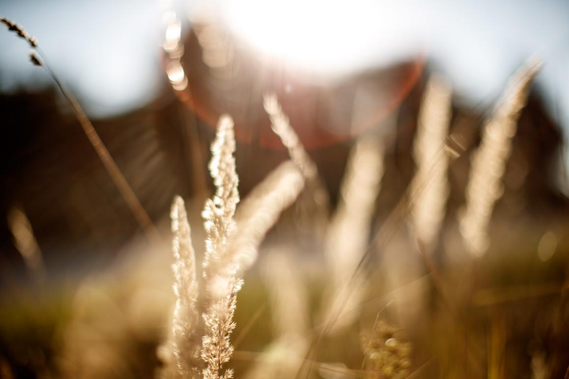 Fuji SL 1.1