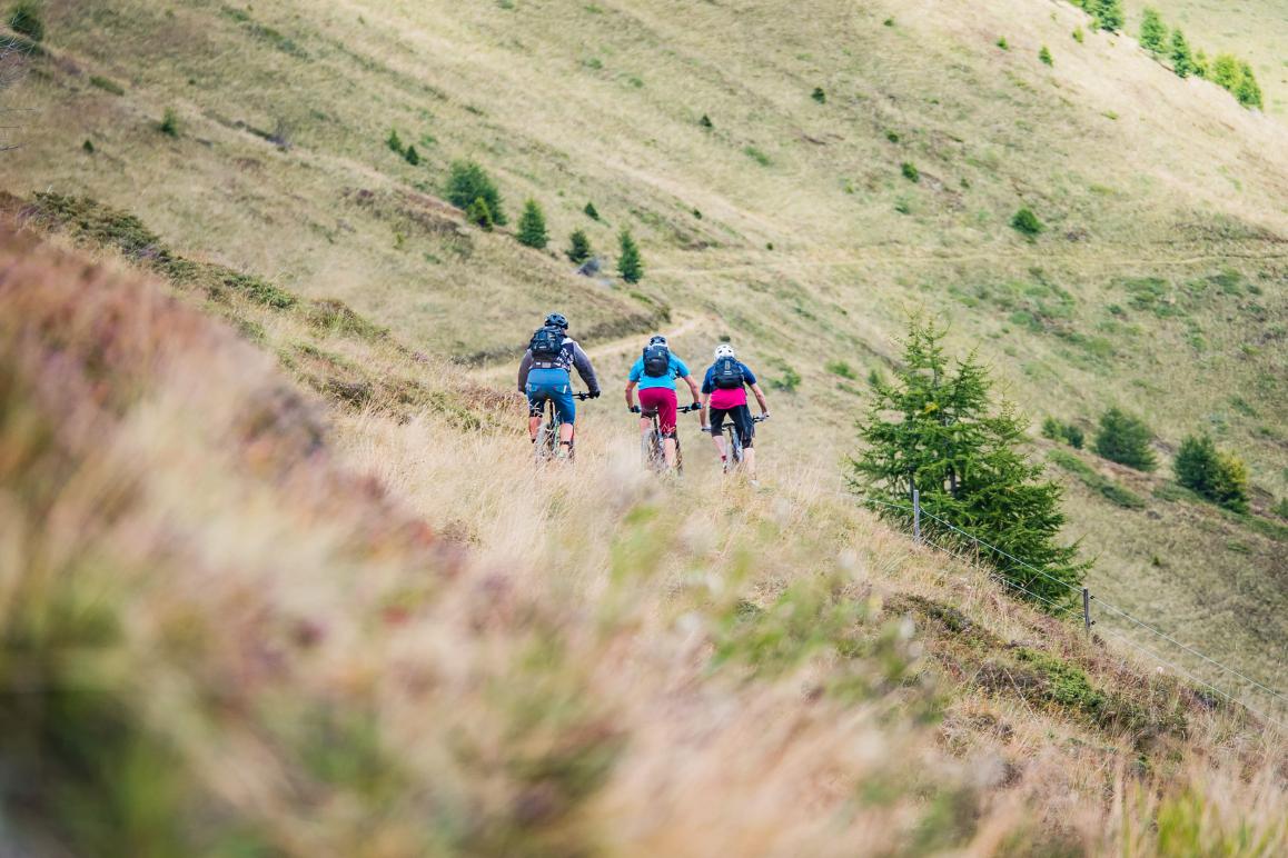 Wandelbares Lienz