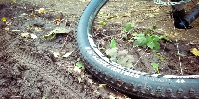 Vredestein Black Panther & Spotted Cat Superlite 2018