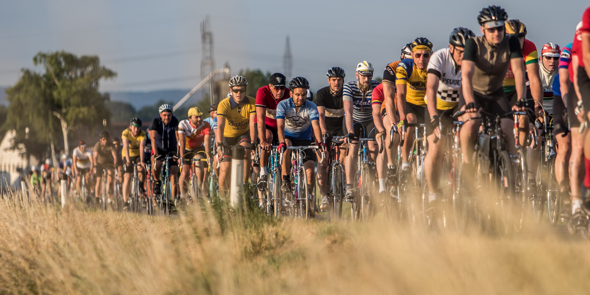 6. In Velo Veritas 2018