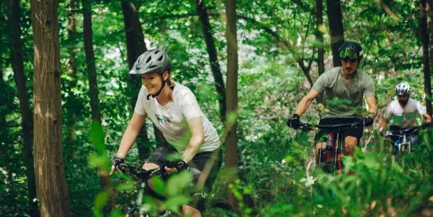 MTB-Wegenetz Wienerwald