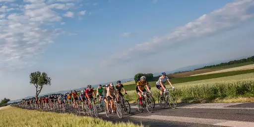 Vorschau: In Velo Veritas