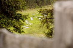 Biken zwischen Nationalpark und Trail-Flow