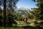 Singletrail-Paradies Latemar / Rosengarten in Südtirol