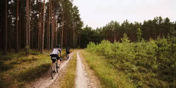 Rose Backroad & Backroad Cross 2019