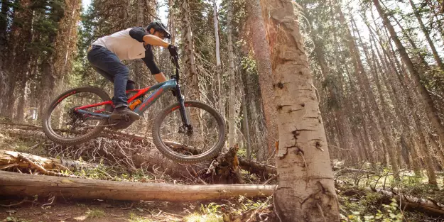 Specialized Turbo Levo 2019