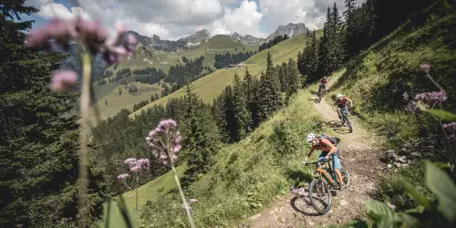 E-Bike Paradies Gstaad