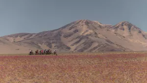 Epica Atacama